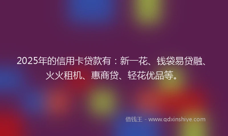 2025年的信用卡贷款有：新一花、钱袋易贷融、火火租机、惠商贷、轻花优品等。