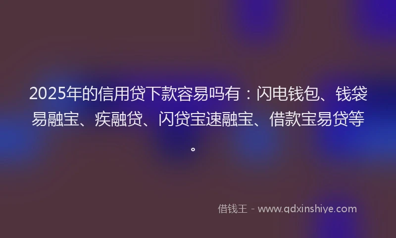 2025年的信用贷下款容易吗有：闪电钱包、钱袋易融宝、疾融贷、闪贷宝速融宝、借款宝易贷等。
