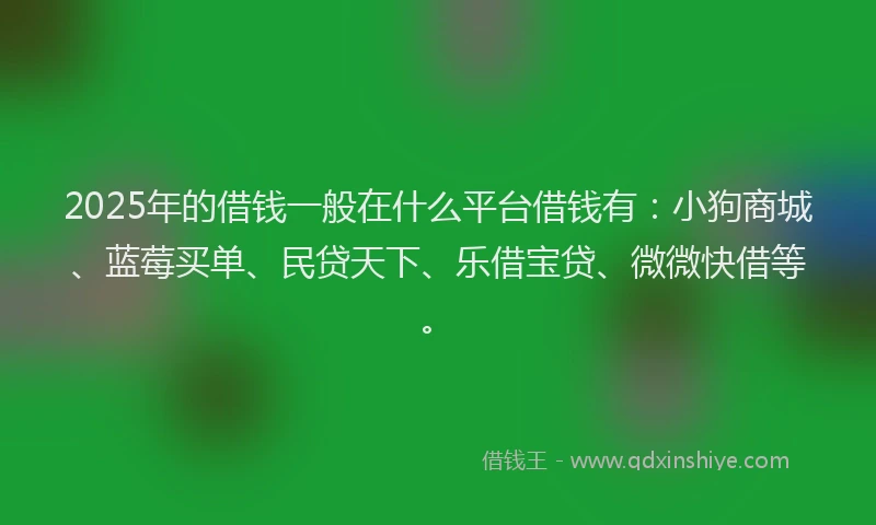 2025年的借钱一般在什么平台借钱有：小狗商城、蓝莓买单、民贷天下、乐借宝贷、微微快借等。