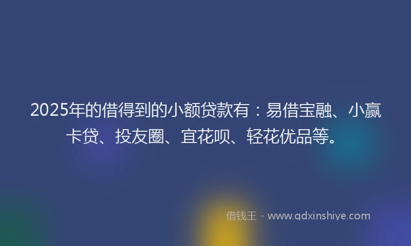 2025年的借得到的小额贷款有：易借宝融、小赢卡贷、投友圈、宜花呗、轻花优品等。