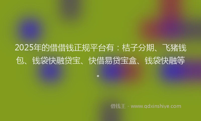 2025年的借借钱正规平台有：桔子分期、飞猪钱包、钱袋快融贷宝、快借易贷宝盒、钱袋快融等。