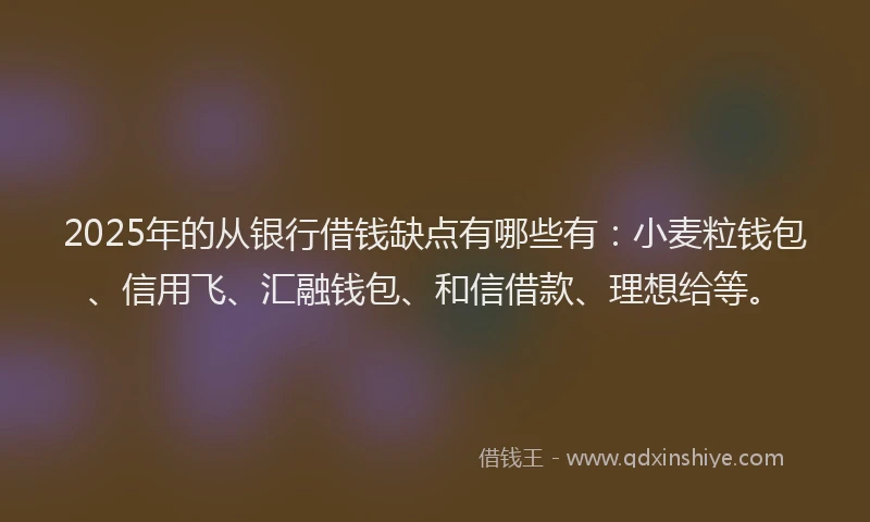 2025年的从银行借钱缺点有哪些有：小麦粒钱包、信用飞、汇融钱包、和信借款、理想给等。