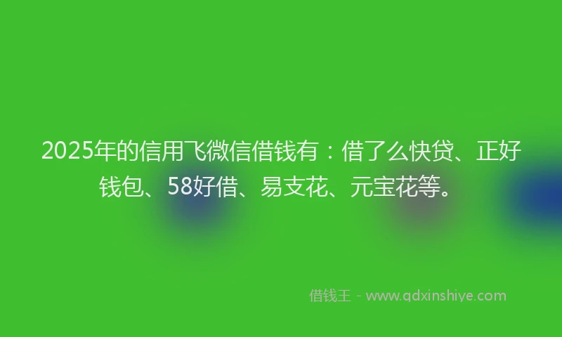 2025年的信用飞微信借钱有：借了么快贷、正好钱包、58好借、易支花、元宝花等。