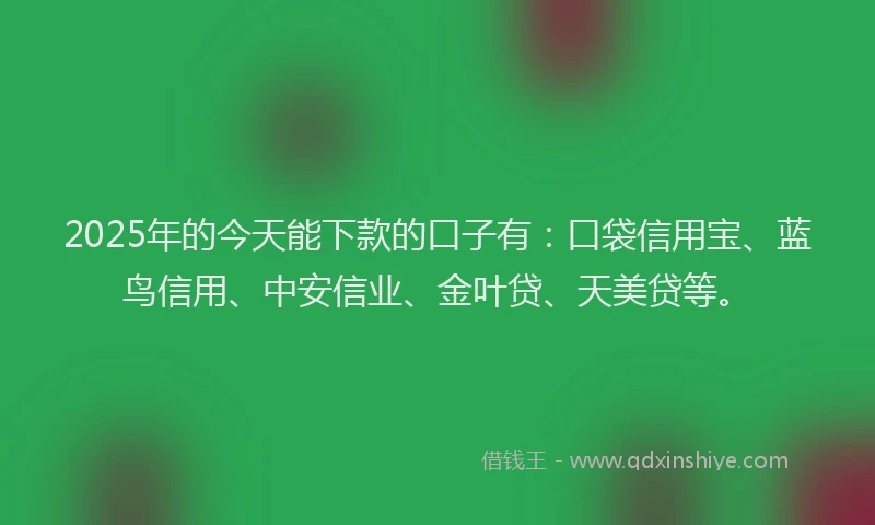 2025年的今天能下款的口子有：口袋信用宝、蓝鸟信用、中安信业、金叶贷、天美贷等。