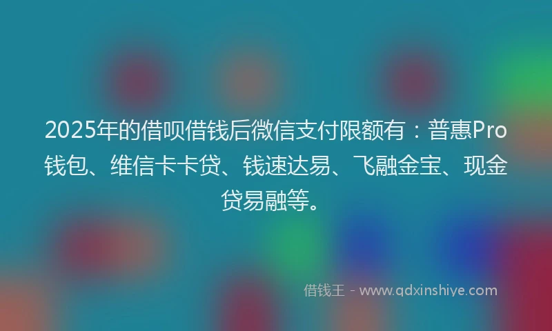 2025年的借呗借钱后微信支付限额有：普惠Pro钱包、维信卡卡贷、钱速达易、飞融金宝、现金贷易融等。