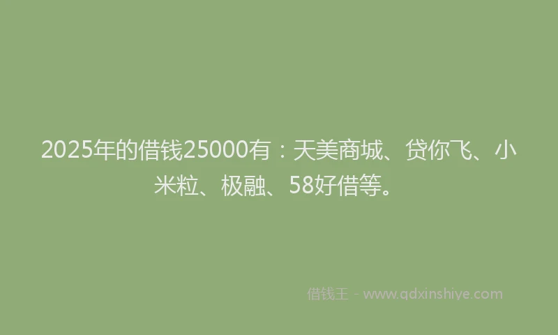 2025年的借钱25000有：天美商城、贷你飞、小米粒、极融、58好借等。