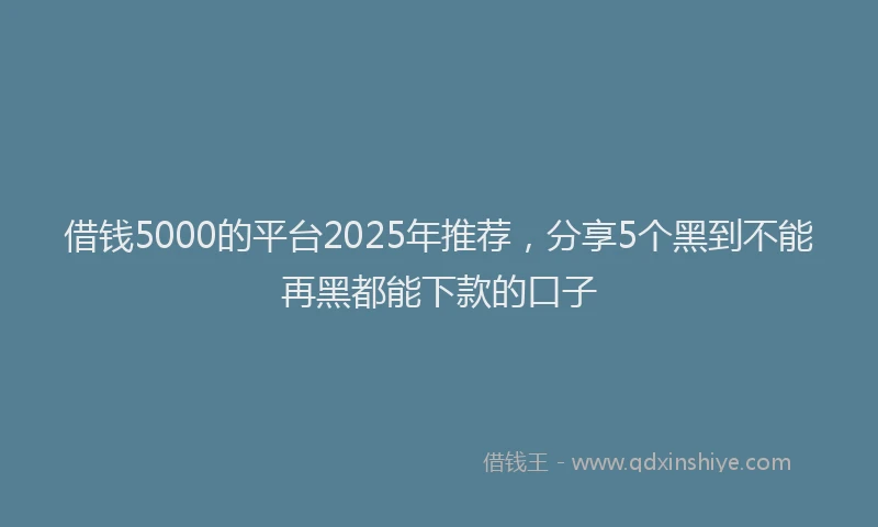 借钱5000的平台2025年推荐，分享5个黑到不能再黑都能下款的口子