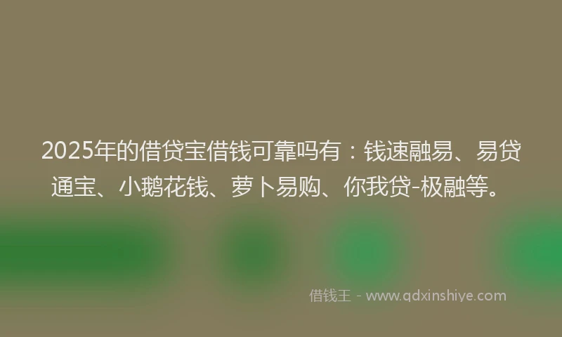 2025年的借贷宝借钱可靠吗有：钱速融易、易贷通宝、小鹅花钱、萝卜易购、你我贷-极融等。