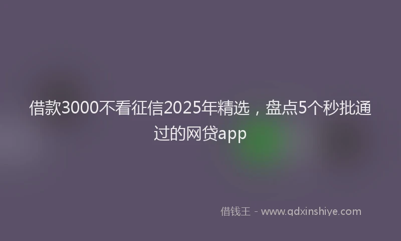 借款3000不看征信2025年精选，盘点5个秒批通过的网贷app