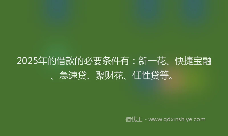 2025年的借款的必要条件有：新一花、快捷宝融、急速贷、聚财花、任性贷等。