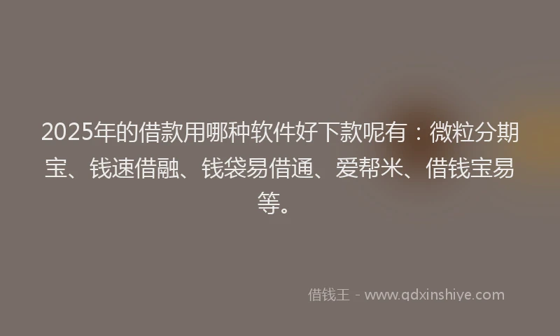 2025年的借款用哪种软件好下款呢有：微粒分期宝、钱速借融、钱袋易借通、爱帮米、借钱宝易等。