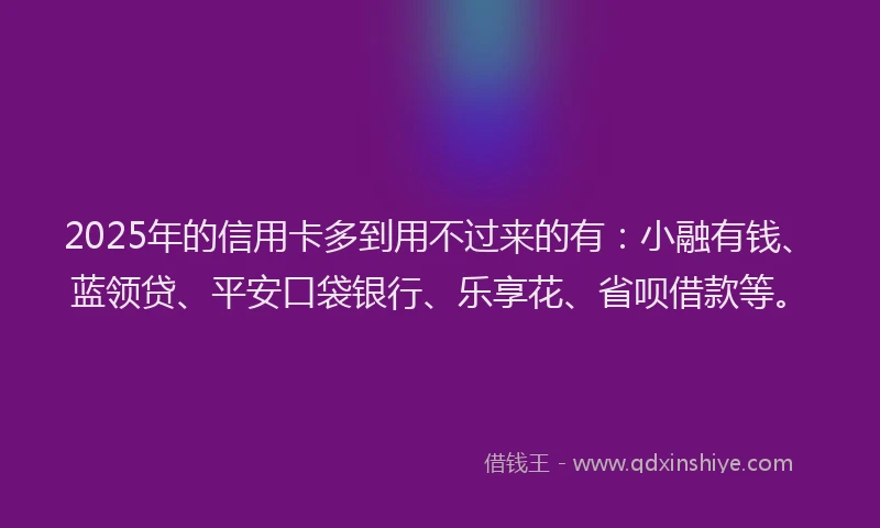 2025年的信用卡多到用不过来的有：小融有钱、蓝领贷、平安口袋银行、乐享花、省呗借款等。