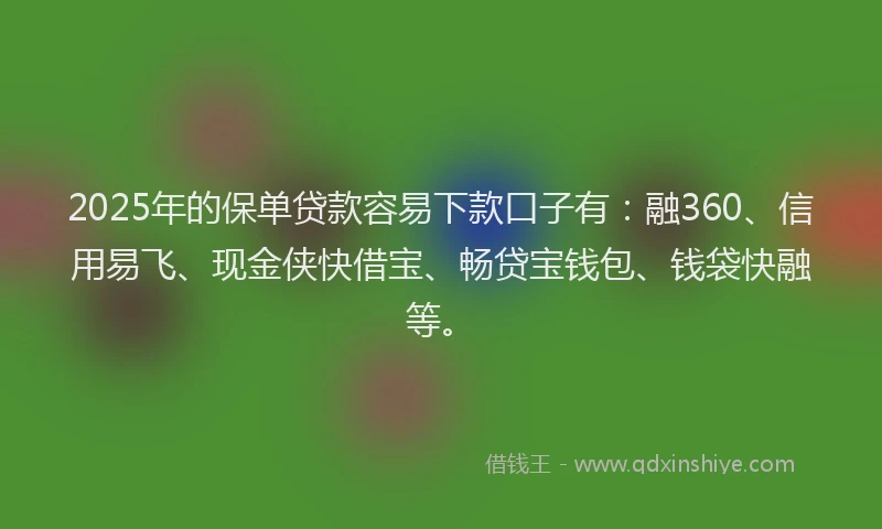 2025年的保单贷款容易下款口子有：融360、信用易飞、现金侠快借宝、畅贷宝钱包、钱袋快融等。