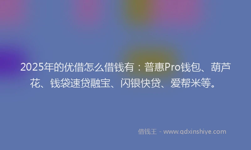 2025年的优借怎么借钱有：普惠Pro钱包、葫芦花、钱袋速贷融宝、闪银快贷、爱帮米等。