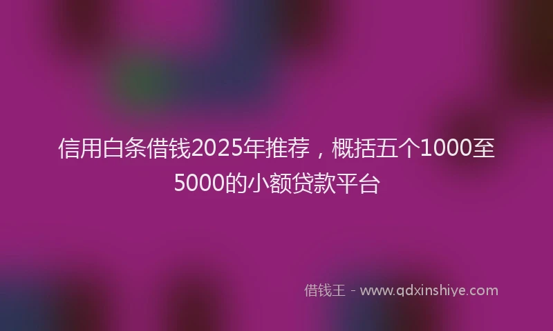 信用白条借钱2025年推荐，概括五个1000至5000的小额贷款平台