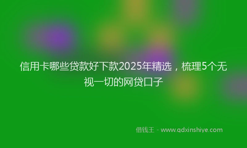 信用卡哪些贷款好下款2025年精选，梳理5个无视一切的网贷口子