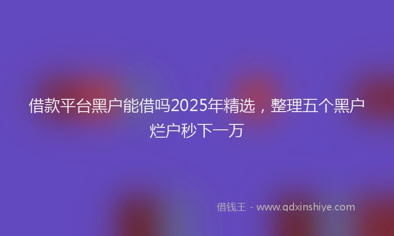 借款平台黑户能借吗2025年精选，整理五个黑户烂户秒下一万