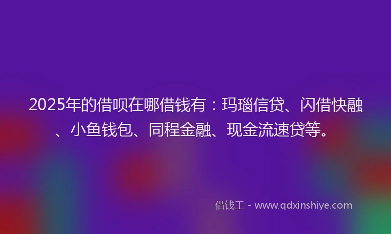 2025年的借呗在哪借钱有：玛瑙信贷、闪借快融、小鱼钱包、同程金融、现金流速贷等。