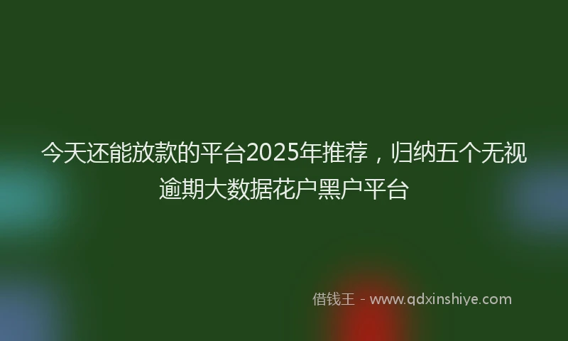 今天还能放款的平台2025年推荐，归纳五个无视逾期大数据花户黑户平台