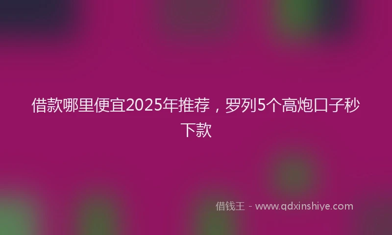 借款哪里便宜2025年推荐，罗列5个高炮口子秒下款