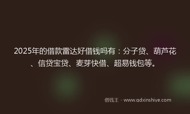 2025年的借款雷达好借钱吗有：分子贷、葫芦花、信贷宝贷、麦芽快借、超易钱包等。
