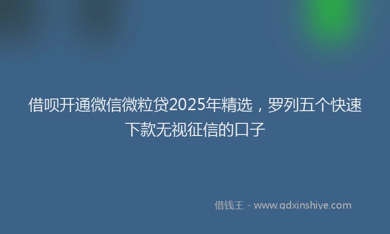 借呗开通微信微粒贷2025年精选，罗列五个快速下款无视征信的口子