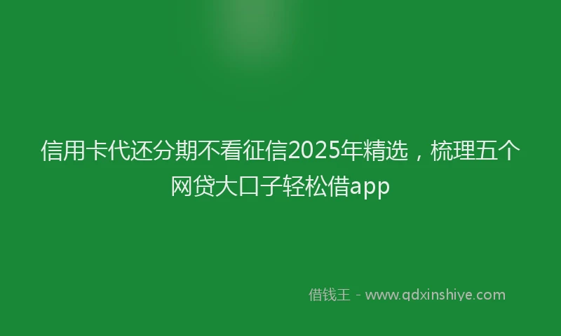 信用卡代还分期不看征信2025年精选，梳理五个网贷大口子轻松借app