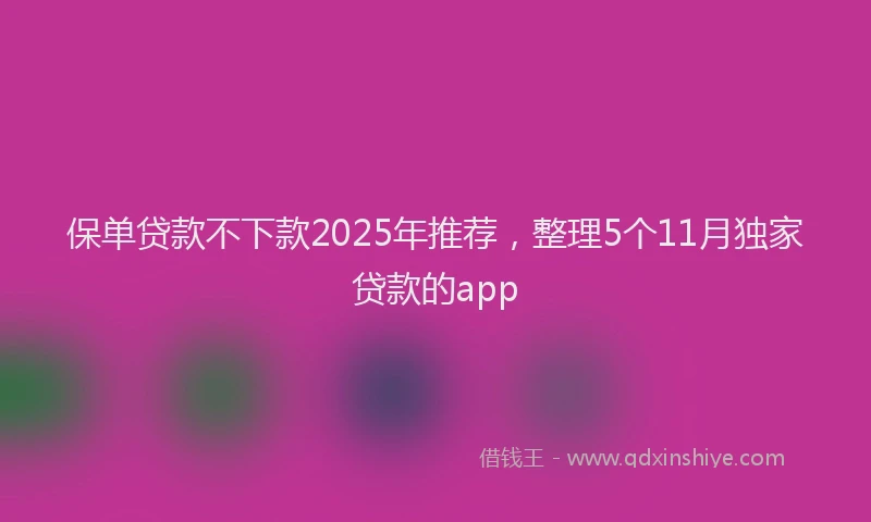 保单贷款不下款2025年推荐，整理5个11月独家贷款的app