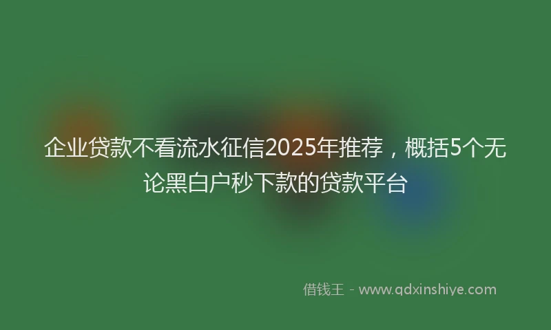 企业贷款不看流水征信2025年推荐，概括5个无论黑白户秒下款的贷款平台