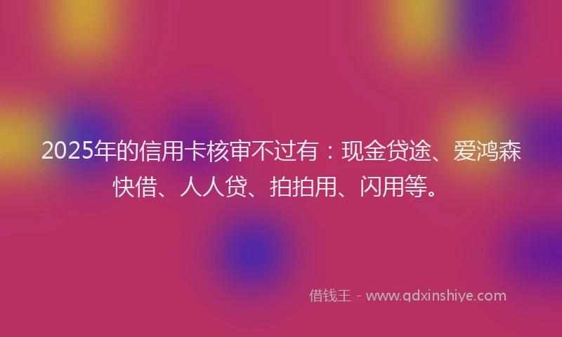 2025年的信用卡核审不过有：现金贷途、爱鸿森快借、人人贷、拍拍用、闪用等。