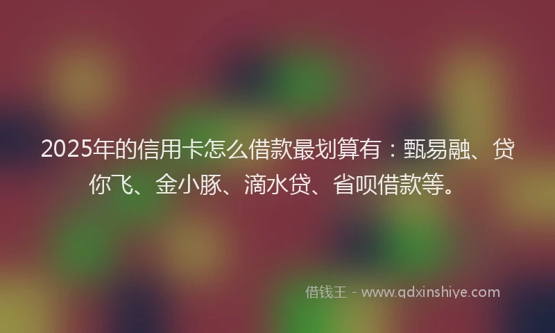 2025年的信用卡怎么借款最划算有：甄易融、贷你飞、金小豚、滴水贷、省呗借款等。
