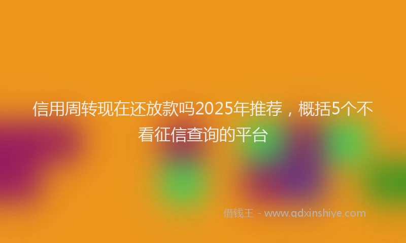信用周转现在还放款吗2025年推荐，概括5个不看征信查询的平台