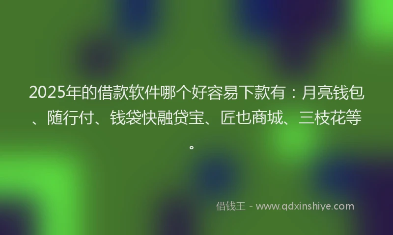 2025年的借款软件哪个好容易下款有：月亮钱包、随行付、钱袋快融贷宝、匠也商城、三枝花等。