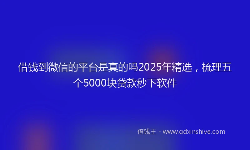 借钱到微信的平台是真的吗2025年精选，梳理五个5000块贷款秒下软件