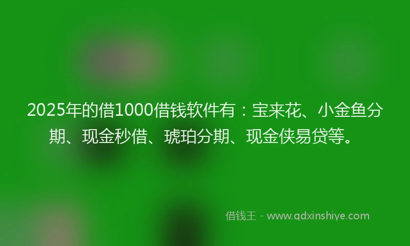 2025年的借1000借钱软件有：宝来花、小金鱼分期、现金秒借、琥珀分期、现金侠易贷等。
