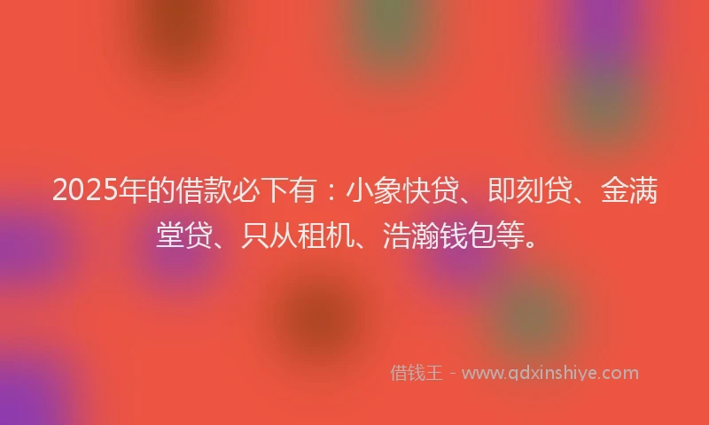 2025年的借款必下有：小象快贷、即刻贷、金满堂贷、只从租机、浩瀚钱包等。