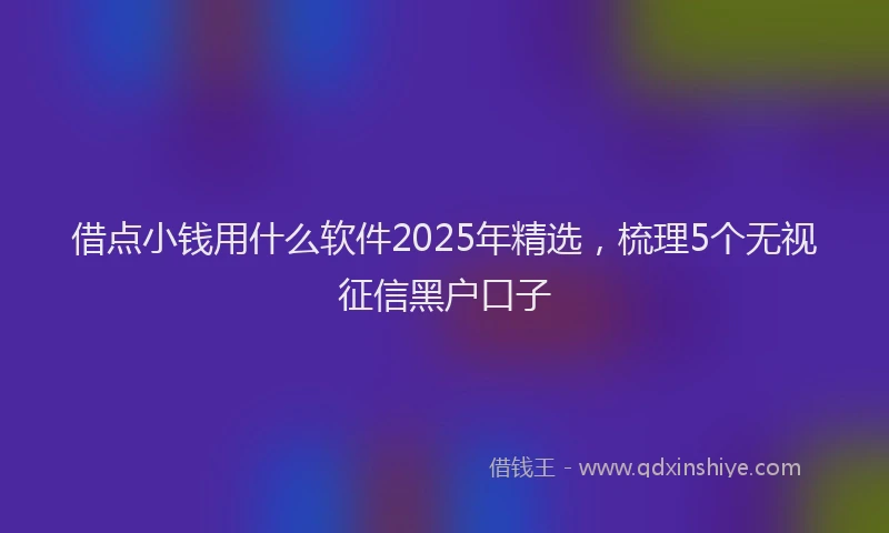 借点小钱用什么软件2025年精选，梳理5个无视征信黑户口子