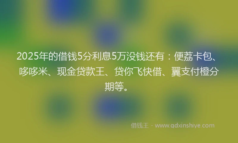 2025年的借钱5分利息5万没钱还有：便荔卡包、哆哆米、现金贷款王、贷你飞快借、翼支付橙分期等。