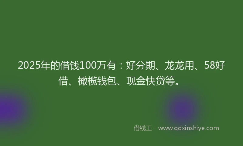 2025年的借钱100万有：好分期、龙龙用、58好借、橄榄钱包、现金快贷等。