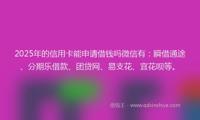 2025年的信用卡能申请借钱吗微信有：瞬借通途、分期乐借款、团贷网、易支花、宜花呗等。