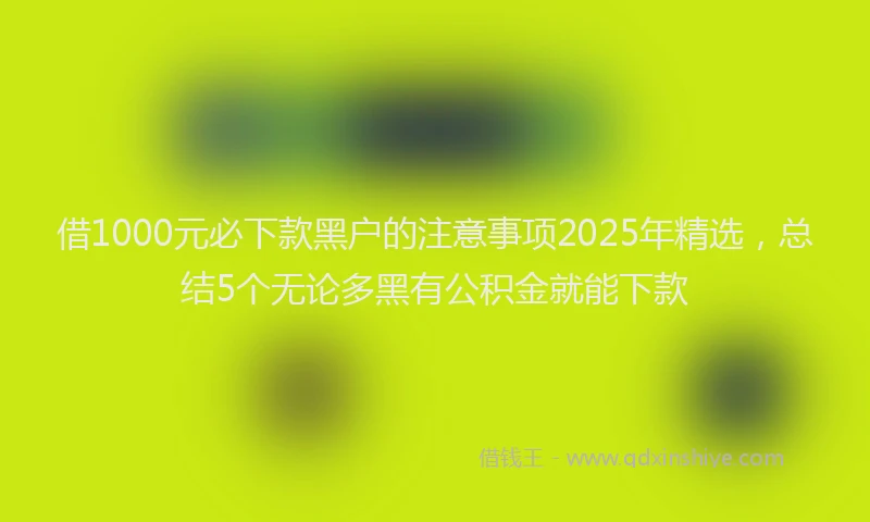 借1000元必下款黑户的注意事项2025年精选，总结5个无论多黑有公积金就能下款