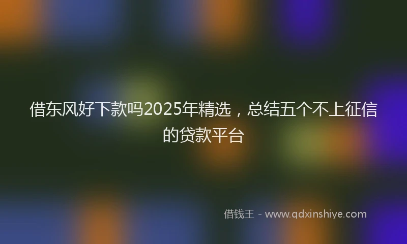 借东风好下款吗2025年精选，总结五个不上征信的贷款平台