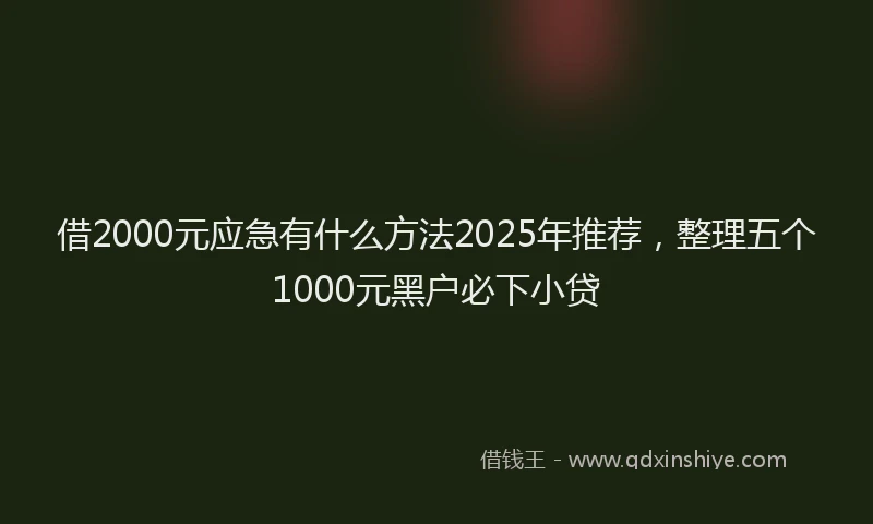 借2000元应急有什么方法2025年推荐，整理五个1000元黑户必下小贷