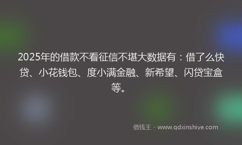 2025年的借款不看征信不堪大数据有：借了么快贷、小花钱包、度小满金融、新希望、闪贷宝盒等。