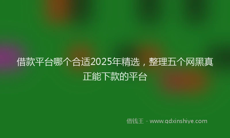 借款平台哪个合适2025年精选，整理五个网黑真正能下款的平台