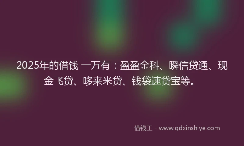 2025年的借钱 一万有：盈盈金科、瞬信贷通、现金飞贷、哆来米贷、钱袋速贷宝等。