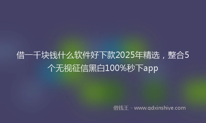 借一千块钱什么软件好下款2025年精选，整合5个无视征信黑白100%秒下app