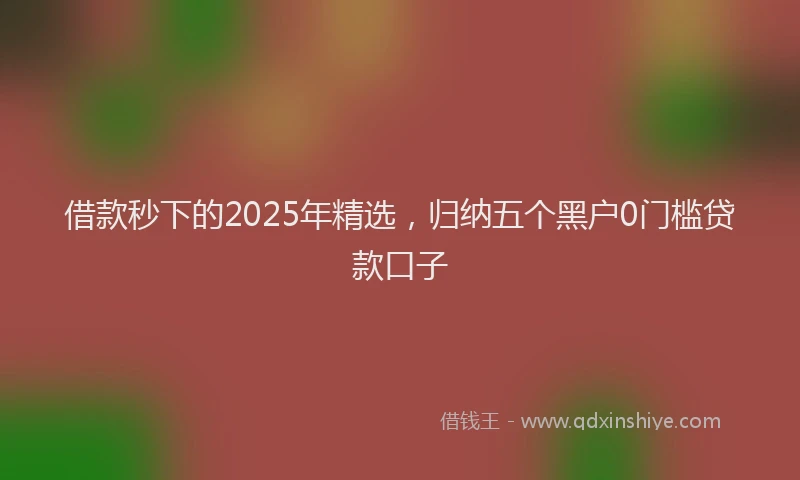 借款秒下的2025年精选，归纳五个黑户0门槛贷款口子