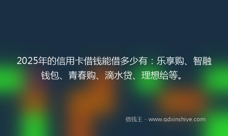 2025年的信用卡借钱能借多少有：乐享购、智融钱包、青春购、滴水贷、理想给等。