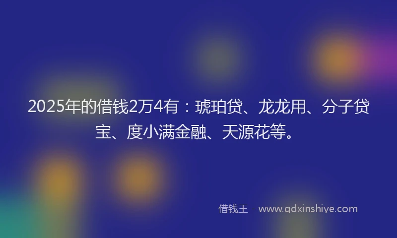 2025年的借钱2万4有：琥珀贷、龙龙用、分子贷宝、度小满金融、天源花等。